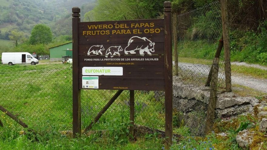 Roberto Hartasánchez, director honorario de Fapas: "Las comunidades autónomas hacen censos de osos a la carta"