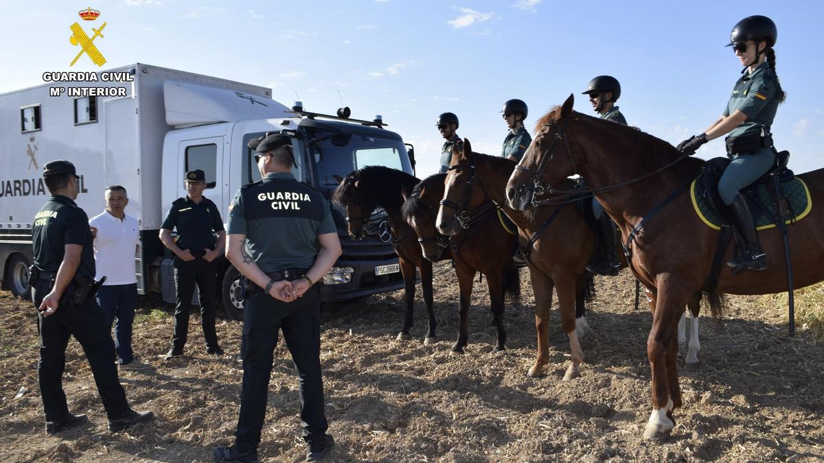 Guardia Civil a caballo