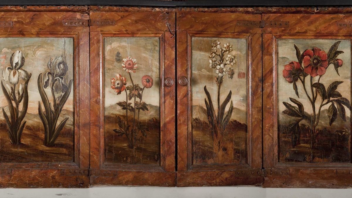 Mueble del herbario del Gabinete Salvador