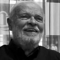 José Antonio Martín Pallín