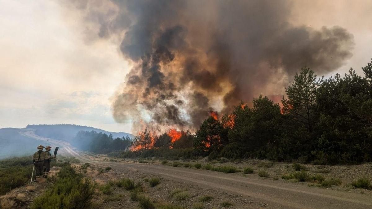 Los incendios de Porqueros y Espina de Tremor aumentan su gravedad por su impacto en arbolado y carreteras
