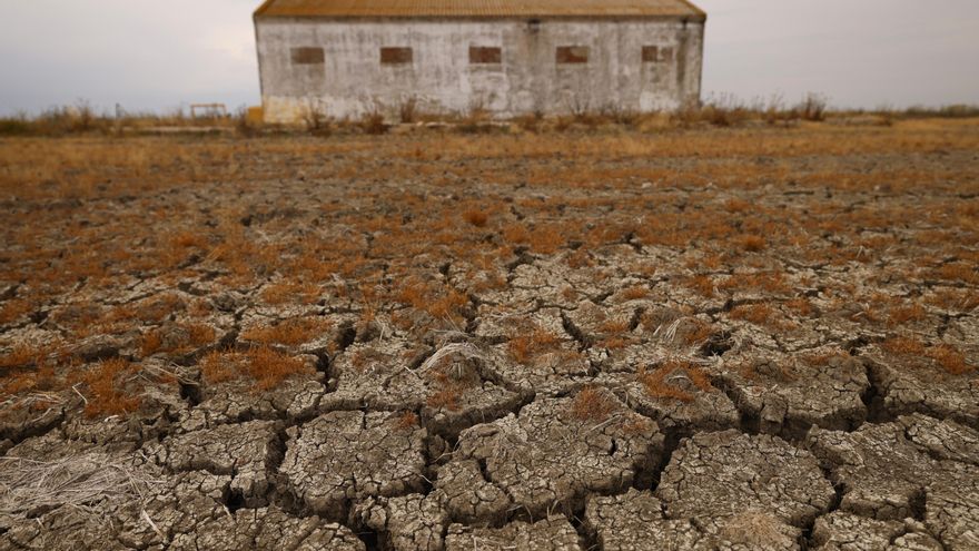 The antiecologist dripin does not stop filtering into environmental policies: the rise of the extreme right and something else