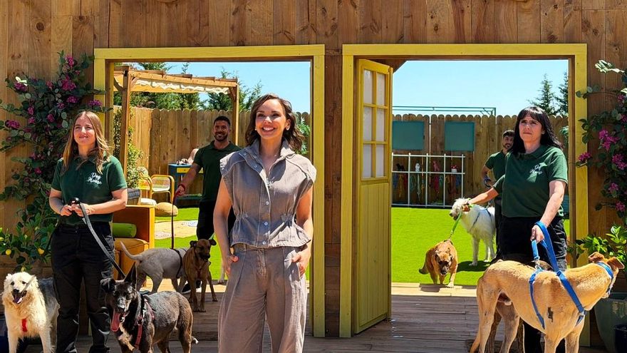 En las entrañas de 'Dog House', el programa de RTVE que ya impacta en una España "más empática y solidaria"