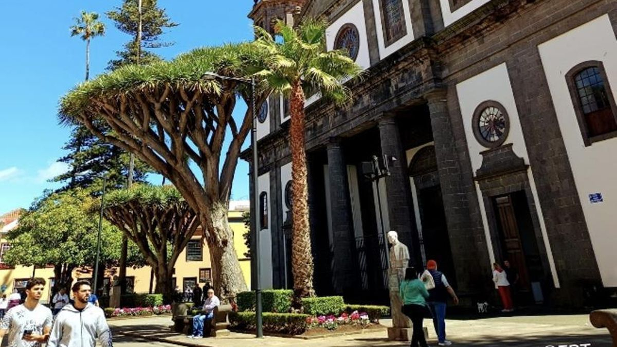 Los dragos ‘gemelos’ de la Catedral de La Laguna