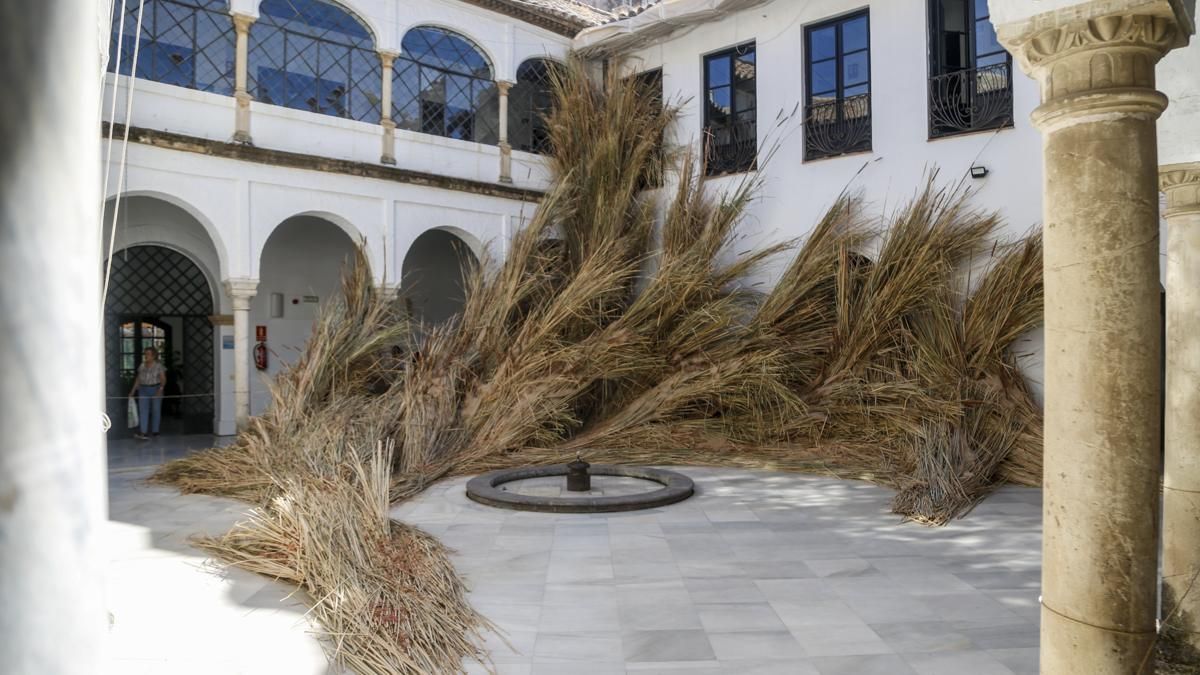 FLORA 2026 - Mas Rasa (Palacio de Orive)