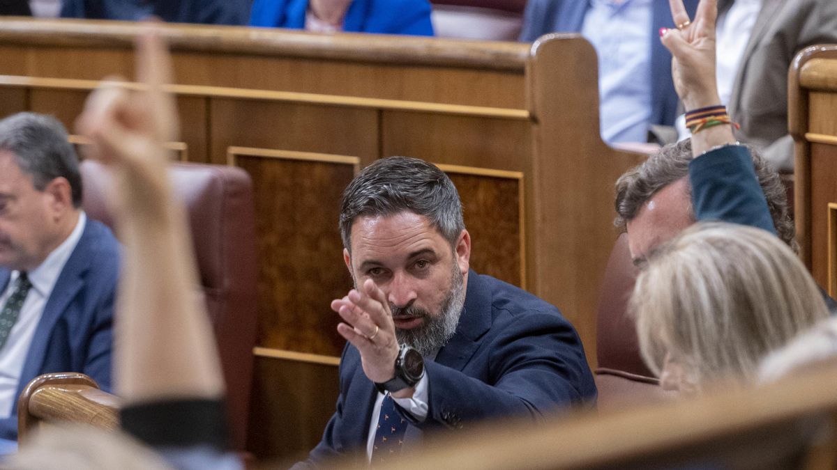 Archivo - El líder de Vox, Santiago Abascal, durante las votaciones de una sesión plenaria, en el Congreso de los Diputados