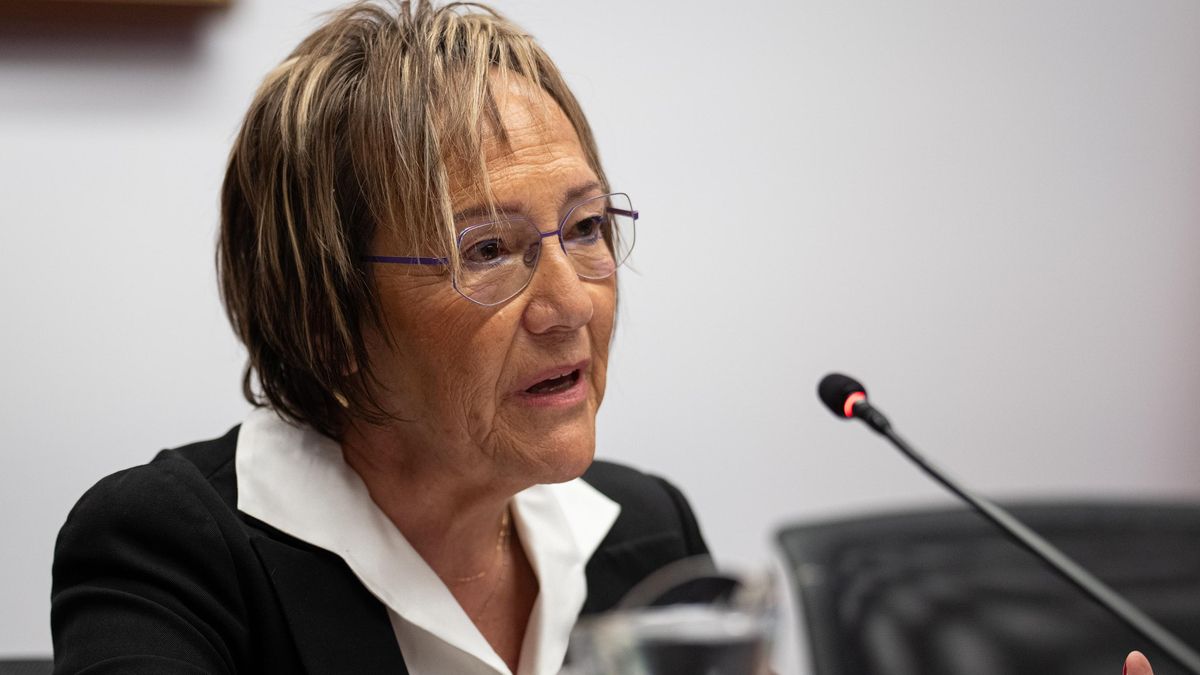 Educación insiste en que tres auditorías avalaron que una filial de Servinabar sin estructura recibiera un contrato en Navarra