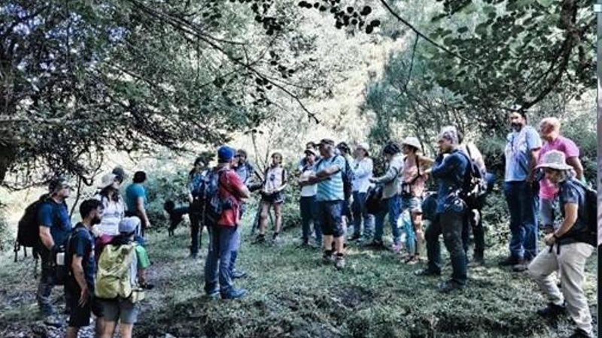 Nace el proyecto iNaturalist para consolidar la ciencia ciudadana y la defensa del territorio en el Alto Sil