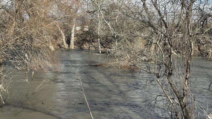 Vista este jueves de la crecida del río Jarama, donde se ha activado la alerta hidrológica ante el aumento del caudal y el riesgo de desbordamiento.