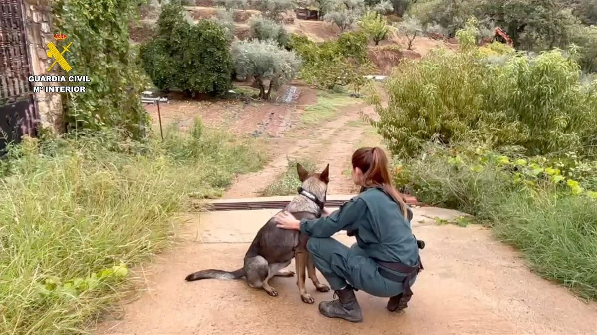 Qué se sabe del hombre de 68 años desaparecido en Losar de la Vera tras salir a pasear con su perro