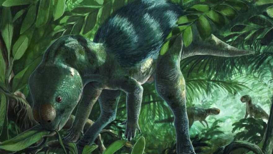 Un nuevo dinosaurio aparece en Burgos con apenas 30 centímetros de altura y un cráneo del tamaño de una nuez