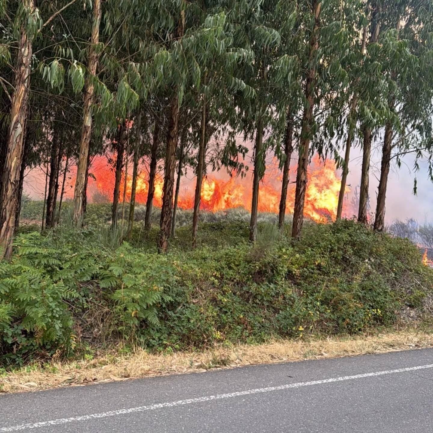 Incendio en Sésamo. / Facebook Reserva de la Biosfera de los Ancares Leoneses