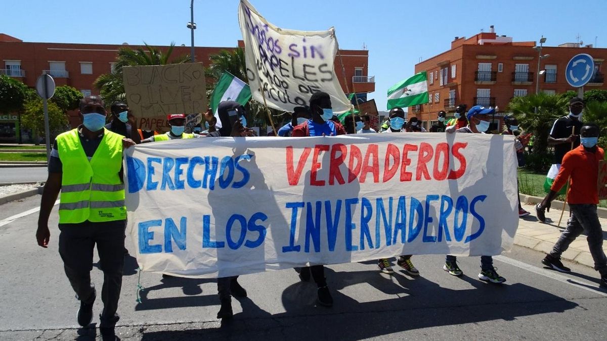 La regularización en los asentamientos de trabajadores del campo en Almería
