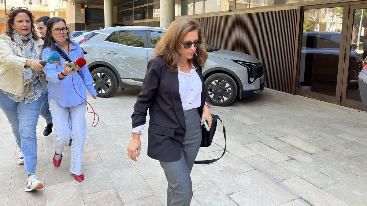 La jefa de Protección Civil en València, sobre el Es-Alert: "No me pareció que fuera lo que habíamos hablado"