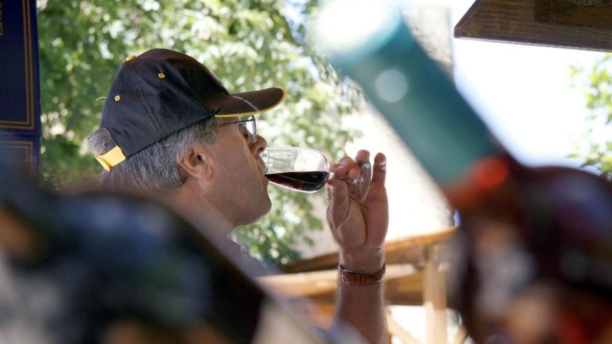 Imagen de archivo: Feria del Vino de Valencia de Don Juan.