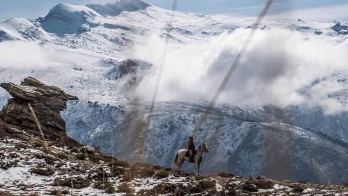 Desde la campiña, al litoral, pasando por la montaña... el variopinto marco natural andaluz sirve de escenario para multitud de rutas ecuestres