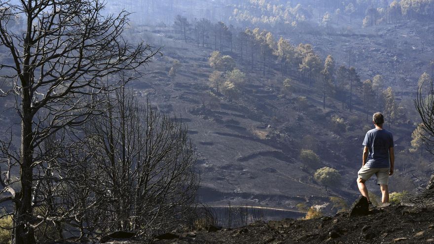 Última hora sobre los incendios: Sánchez afirma que la evolución del incendio de Madrid es "favorable", pero advierte de los riesgos de la nueva ola de calor