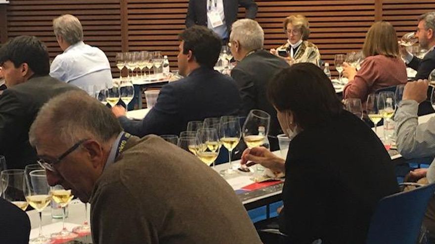 Cata de Vinos