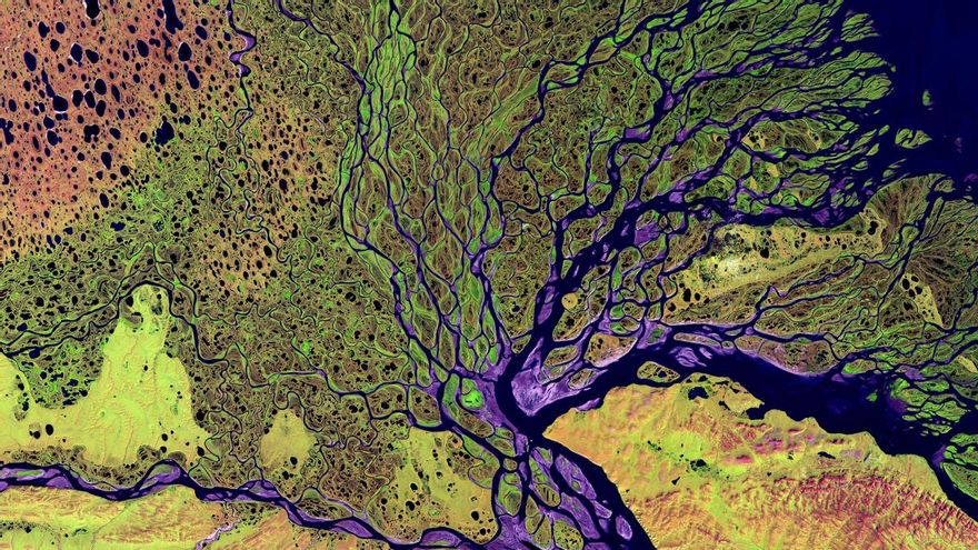 El alimento se come al clima