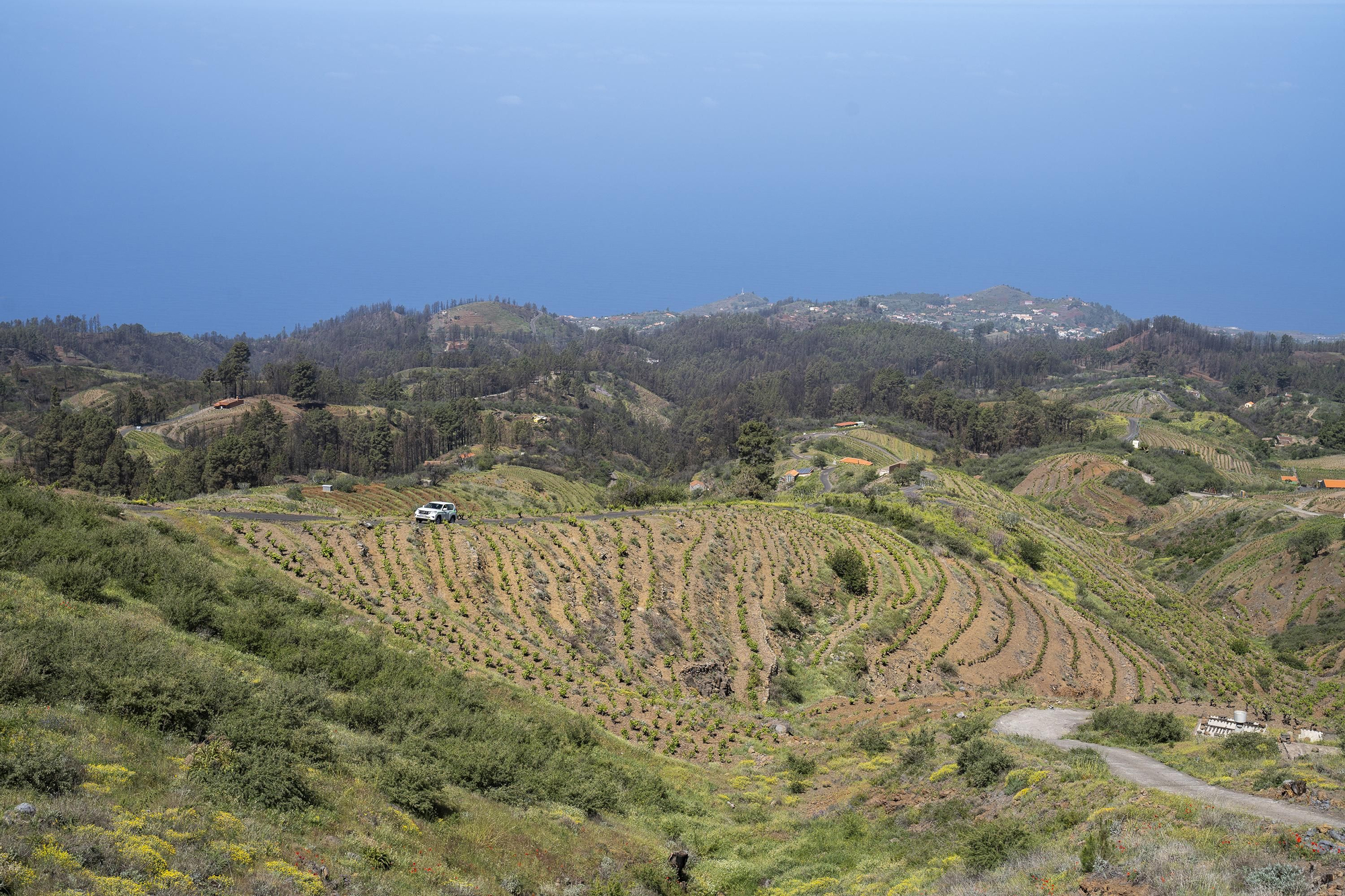 El  incendio forestal en La Palma de 2023  se inició  el  15 de julio una zona de interfaz urbano forestal en el municipio de Puntagorda y también afectó a Tijarafe y al Parque Nacional de La Caldera de Taburiente, en el municipio de El Paso.