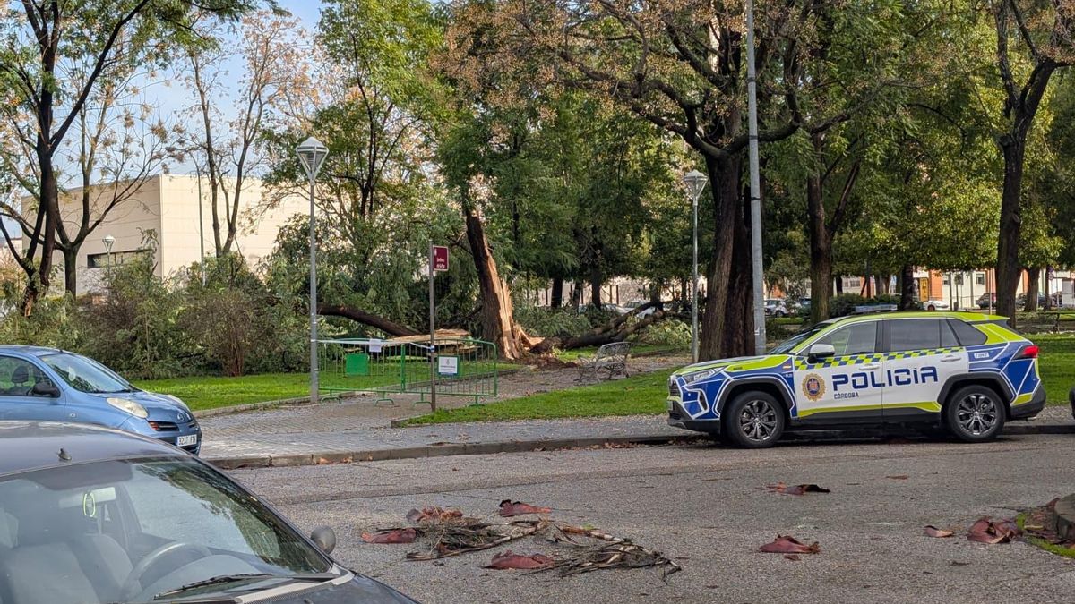 Los daños de la borrasca Kristin en Córdoba