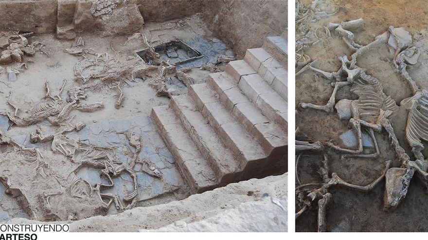 Los científicos descubren el gigantesco sacrificio de animales realizado durante un ritual