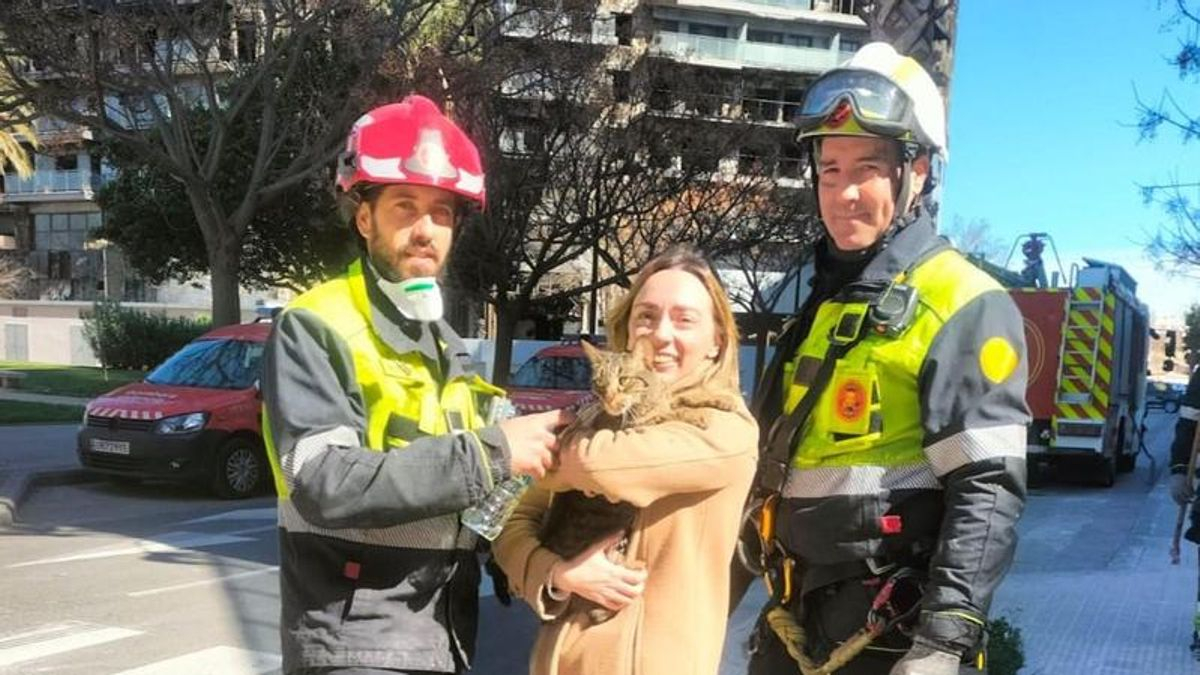 Rescatado y devuelto a su dueña con vida 'Coco', un gato que quedó atrapado en el edificio incendiado en València