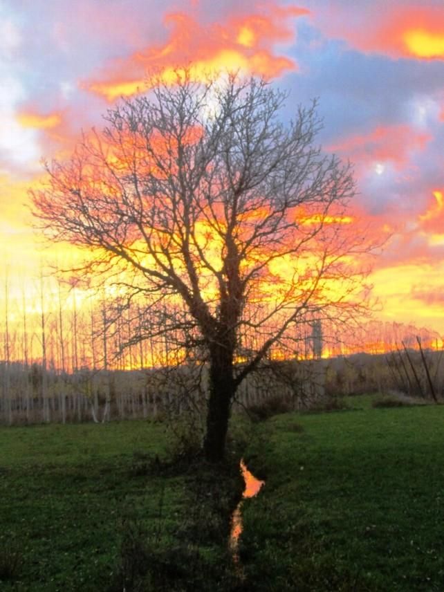 Naturaleza viva en el municipio de Cimanes del Tejar