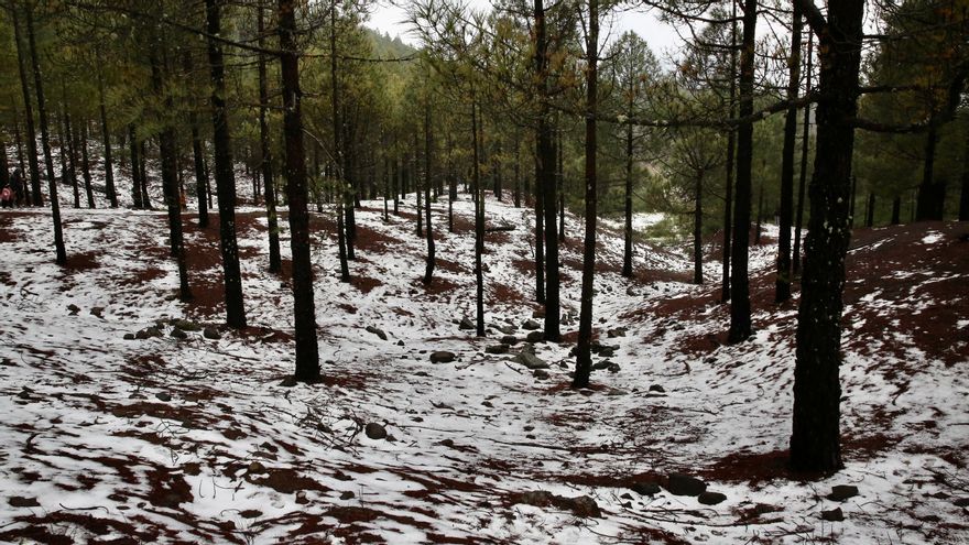 Nieve en la cumbre de Gran Canaria por la borrasca Celia