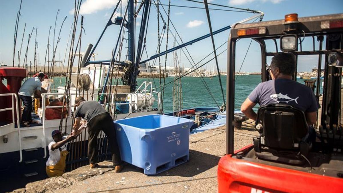 Se hunde en el puerto de Arrecife uno de los seis atuneros que quedan de la flota artesanal de Arrecife