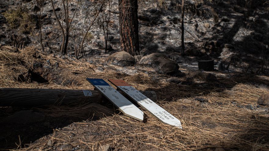Un cartel que señaliza los senderos, derrumbado por el incendio de Tenerife