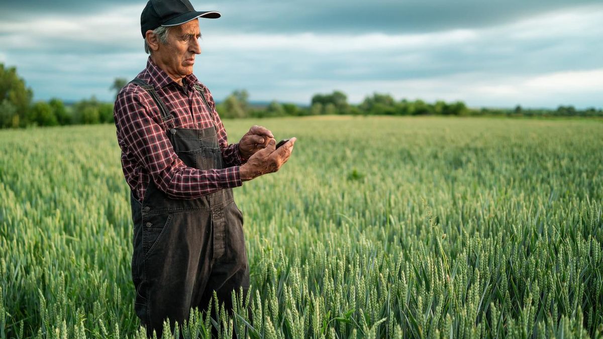 MencIA: inteligencia artificial al servicio del medio rural para garantizar la igualdad de oportunidades en Lugo