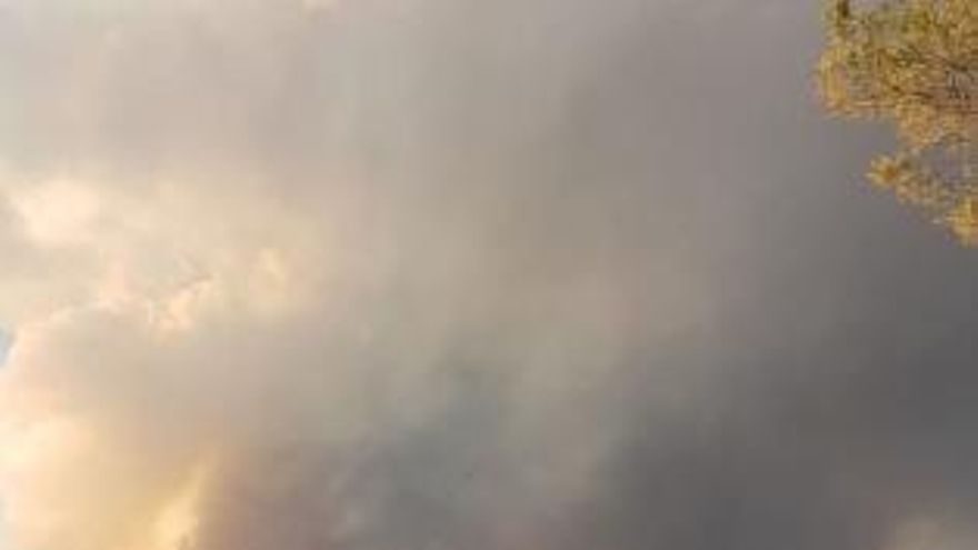 Incendio en Barchín del Hoyo (Cuenca)