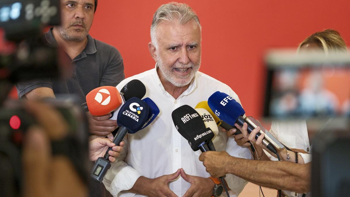 Torres acata la decisión de la Junta Electoral con la ley de nietos, pero expresa su disconformidad