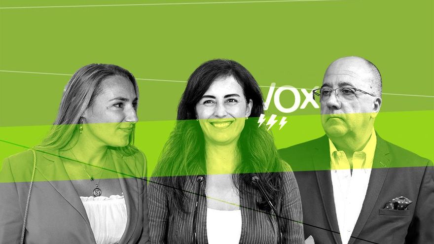 Vox entra en una crisis profunda en Balears con peleas internas, discrepancias con Madrid y dimisiones