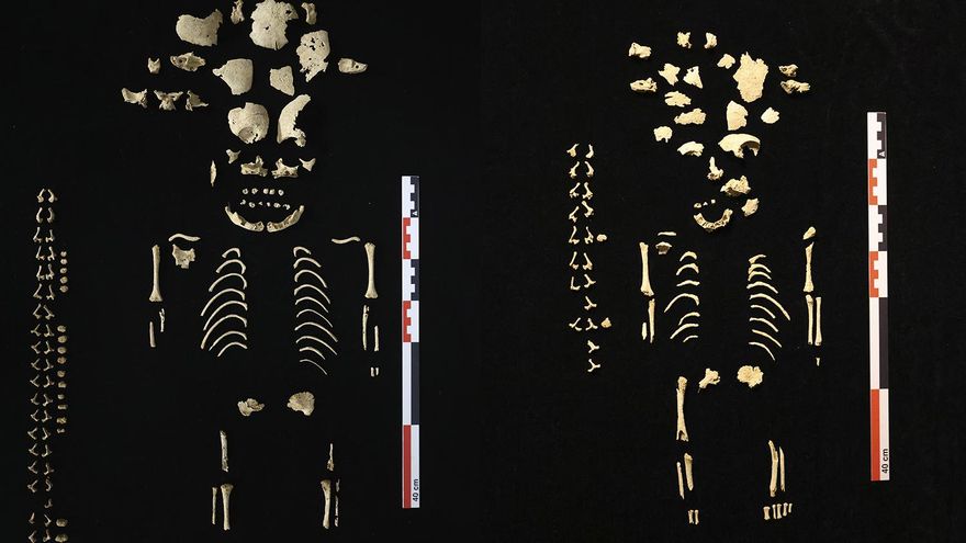 Descubren cuatro enterramientos infantiles asociados a la fundación de la ciudad vascona de Andelo, en Navarra