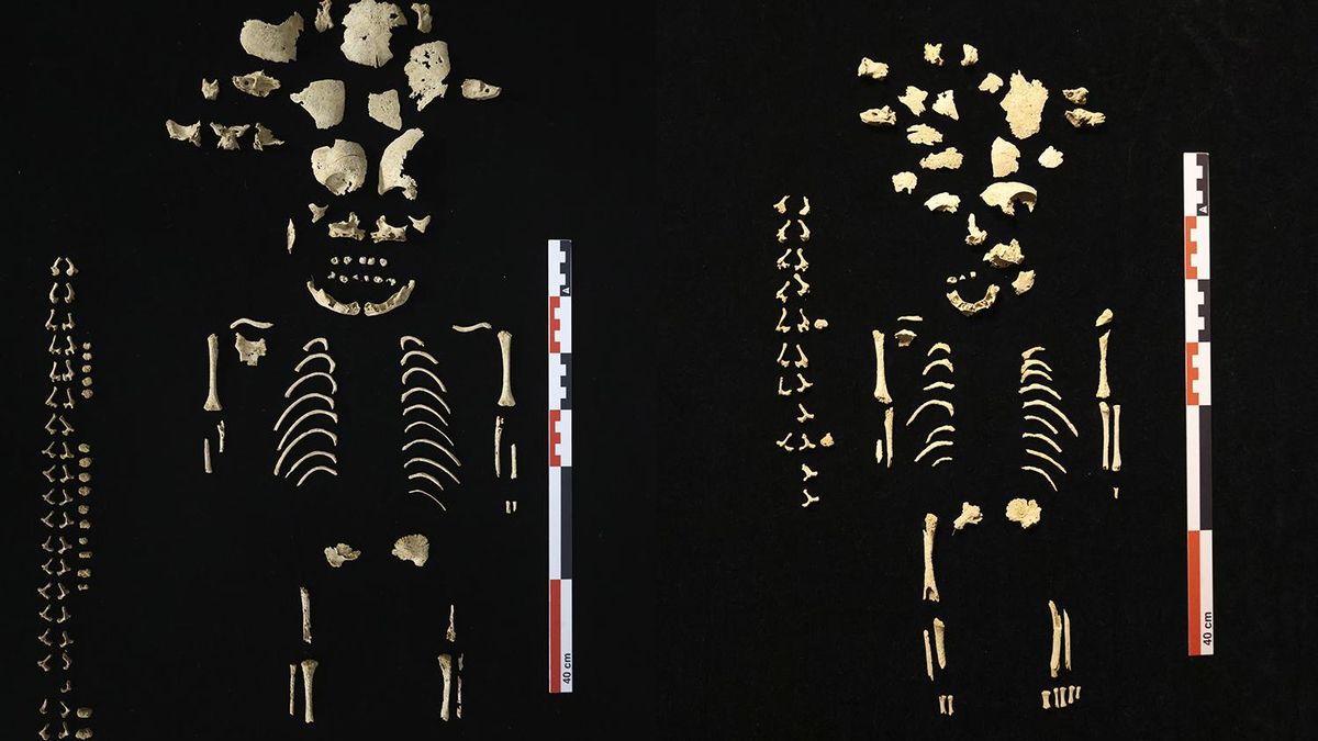 Descubren cuatro enterramientos infantiles asociados a la fundación de la ciudad vascona de Andelo, en Navarra