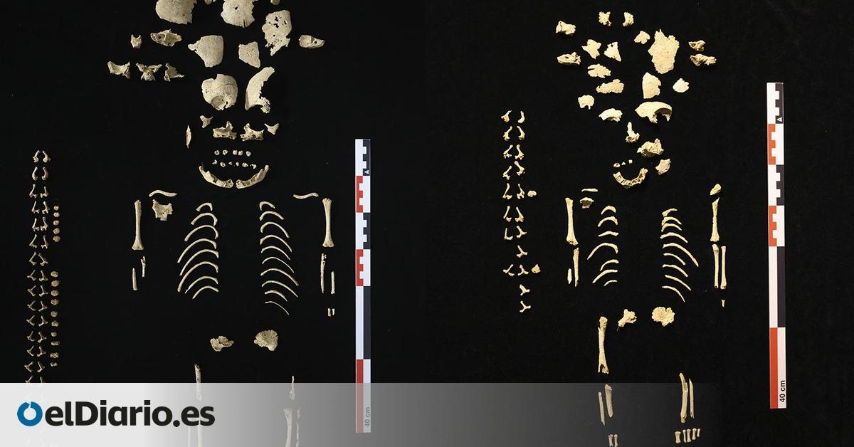 Descubren cuatro enterramientos infantiles asociados a la fundación de la ciudad vascona de Andelo, en Navarra