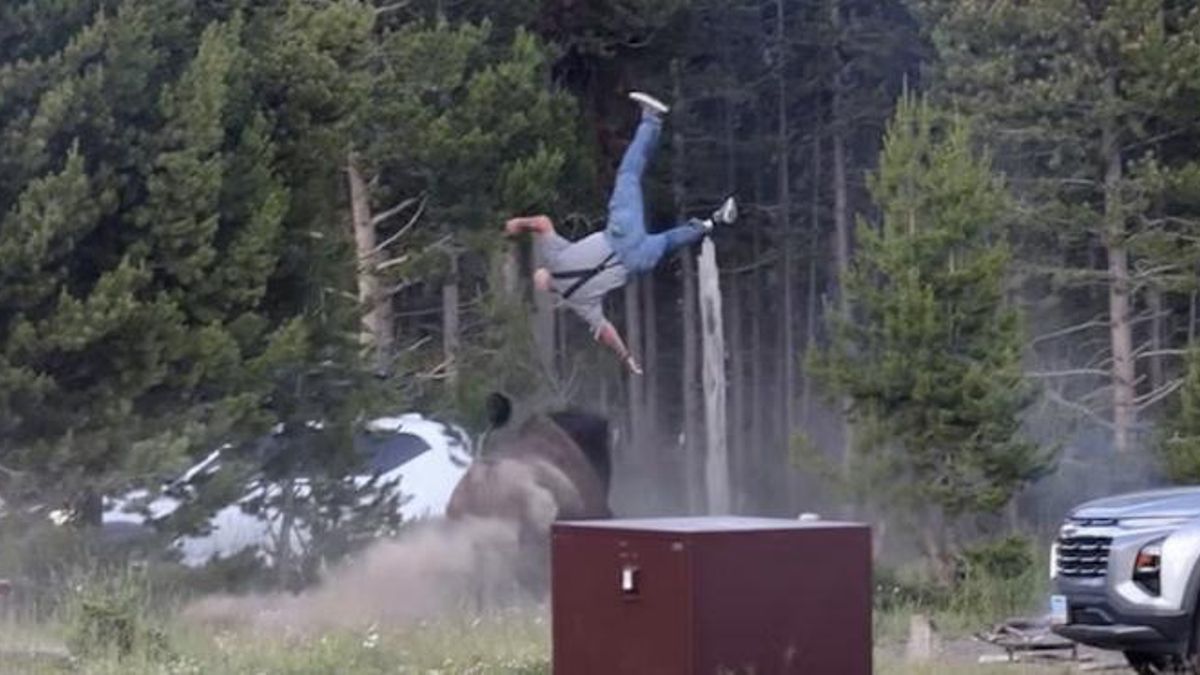 Yellowstone perdona al bisonte del ataque viral y deja toda la responsabilidad en el comportamiento de los visitantes.