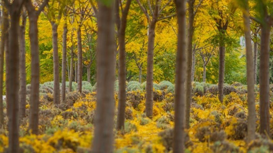 Las temperaturas se normalizan en Andalucía tras alcanzar los 35 grados a finales de octubre