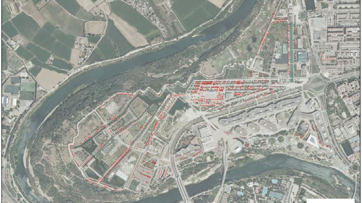 Legado Expo urge a recuperar el arbolado urbano en Zaragoza y denuncia que faltan 839 árboles en el Parque del Agua