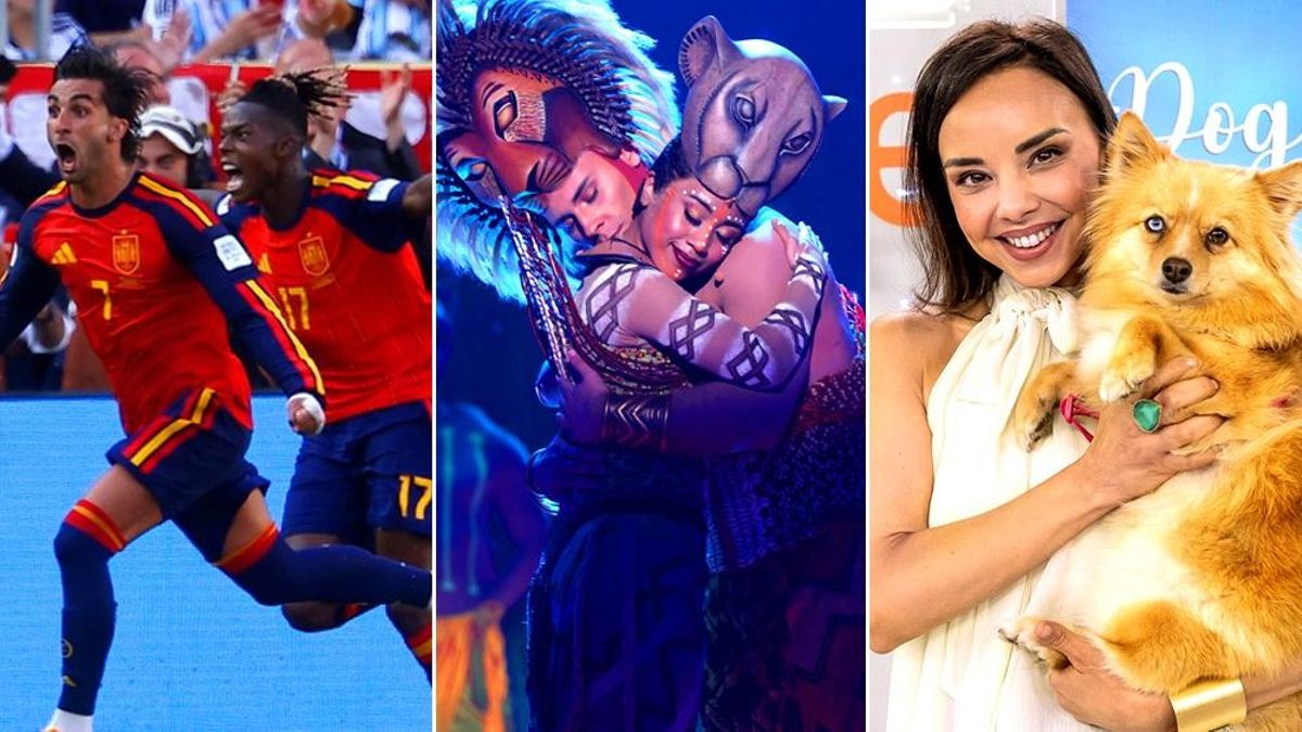 5 lecciones que deja la TV este verano sobre España: de la deportividad en el Mundial, a la conciencia de 'Dog House'