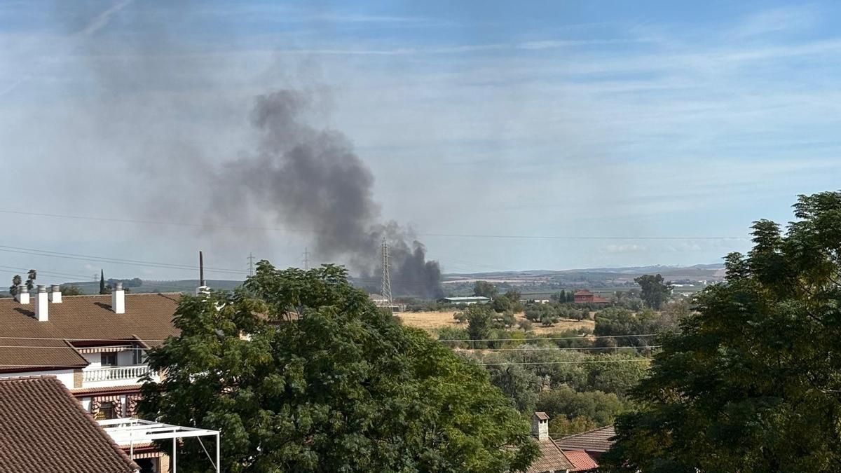 El humo del incendio de Alcolea, visto desde Córdoba capital.