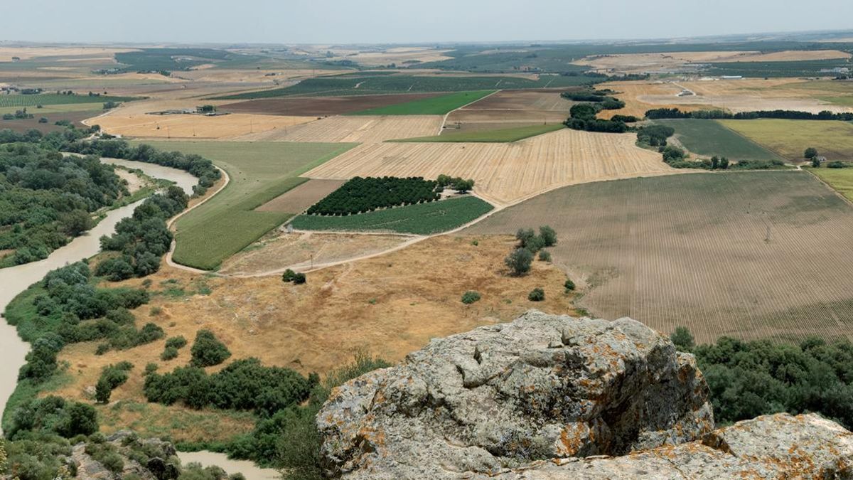 La Justicia reduce la condena a un hombre porque el salón que construyó en suelo protegido de Córdoba ocasionó poco impacto