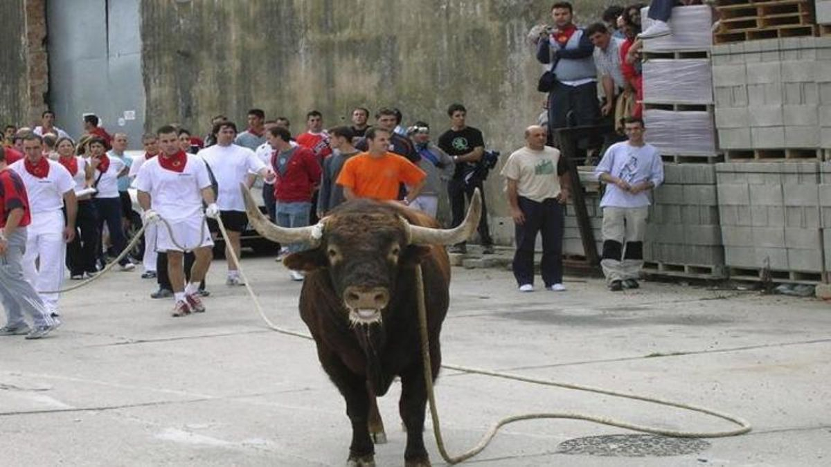 Muere una joven de 25 años tras ser embestida en el toro con soga de Lodosa, Navarra