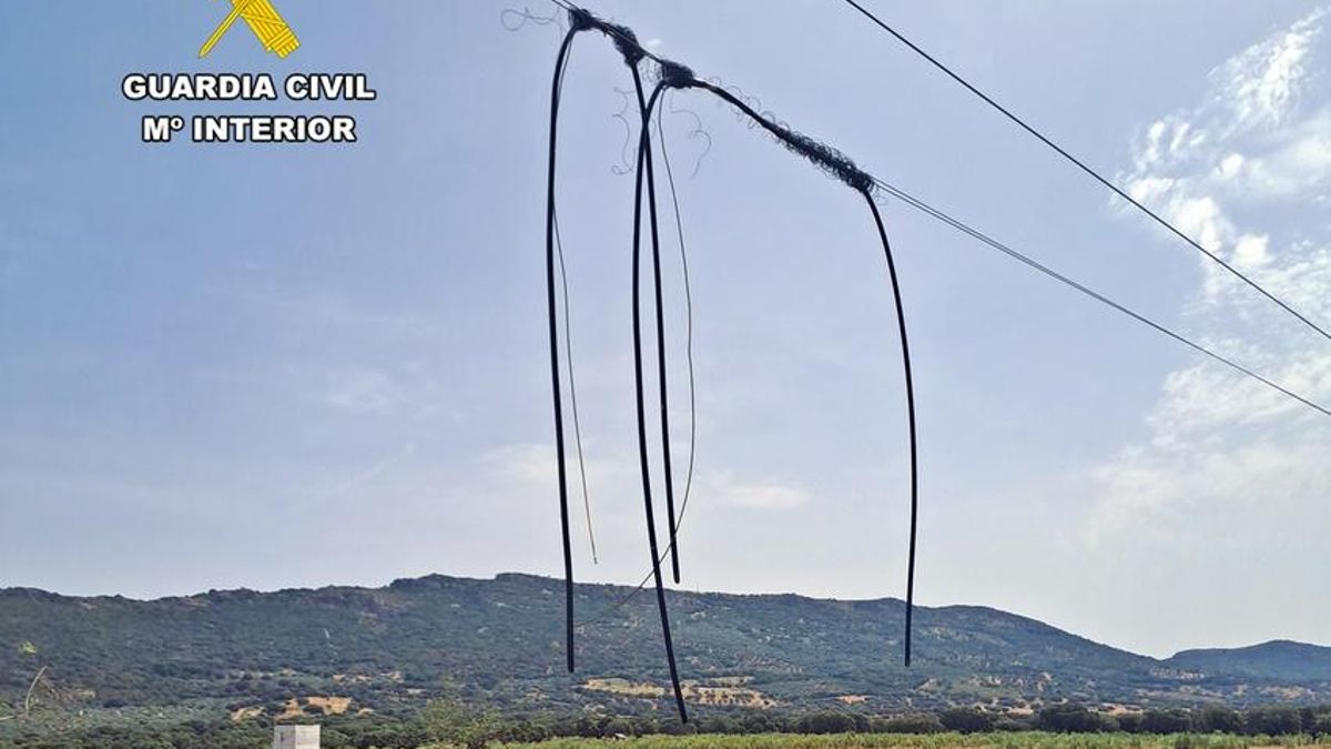 La banda criminal robó 8.000 metros de cable telefónico