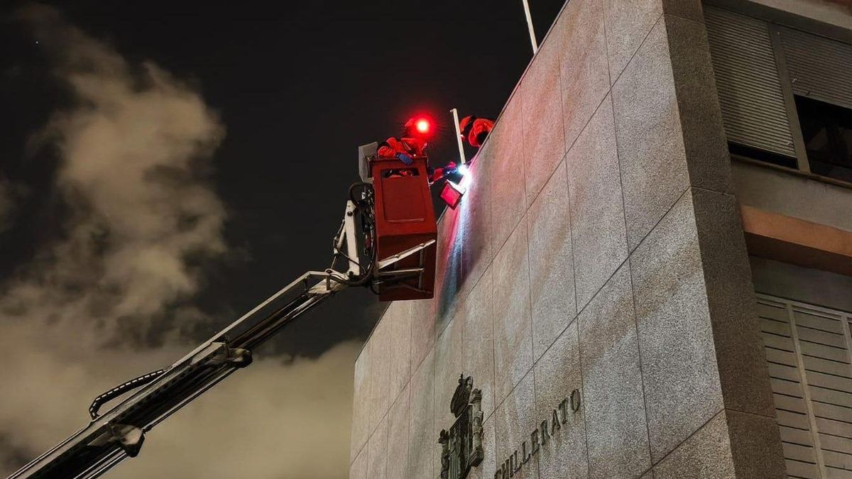 Expertos consiguen retirar el único nido de avispa asiática localizado en Las Palmas de Gran Canaria