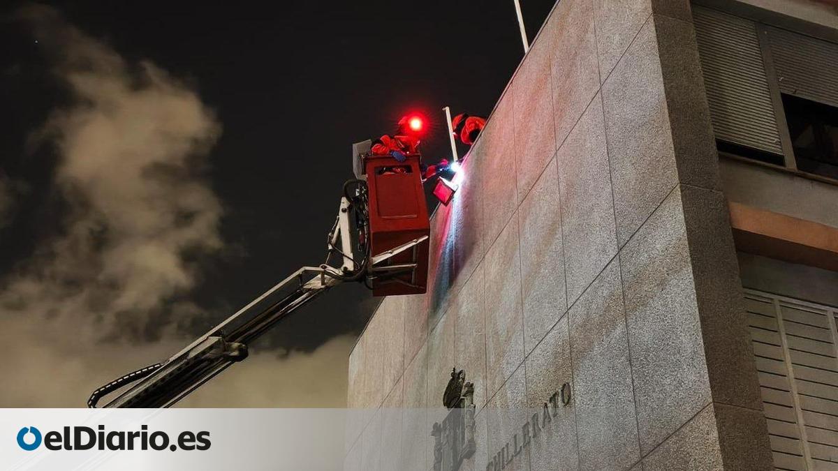 Experts Successfully Remove the Only Asian Hornet Nest Found in Las Palmas de Gran Canaria