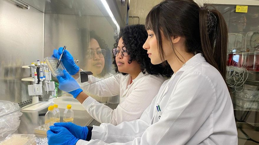 Investigadores de la Universidad de Zaragoza descubren un potencial nuevo antibiótico contra la tuberculosis