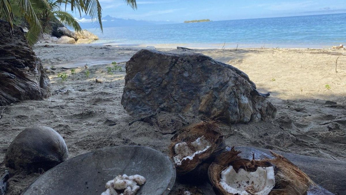 Un coco en la playa de 'Supervivientes'